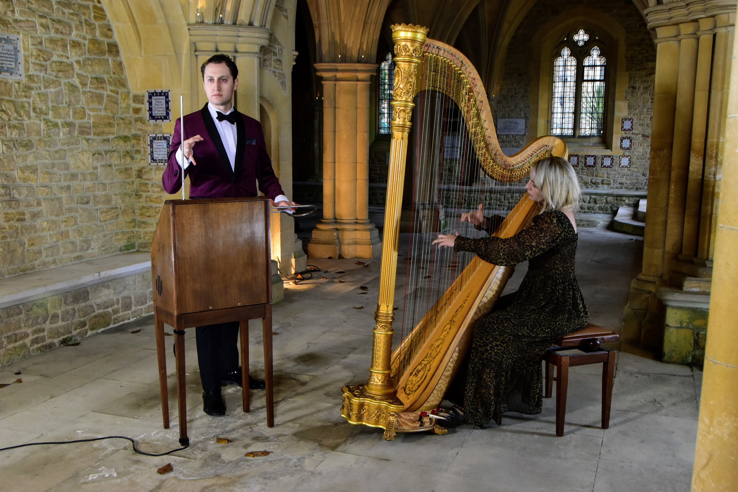 Stranger Strings Theremin & Harp Duo 2.jpg