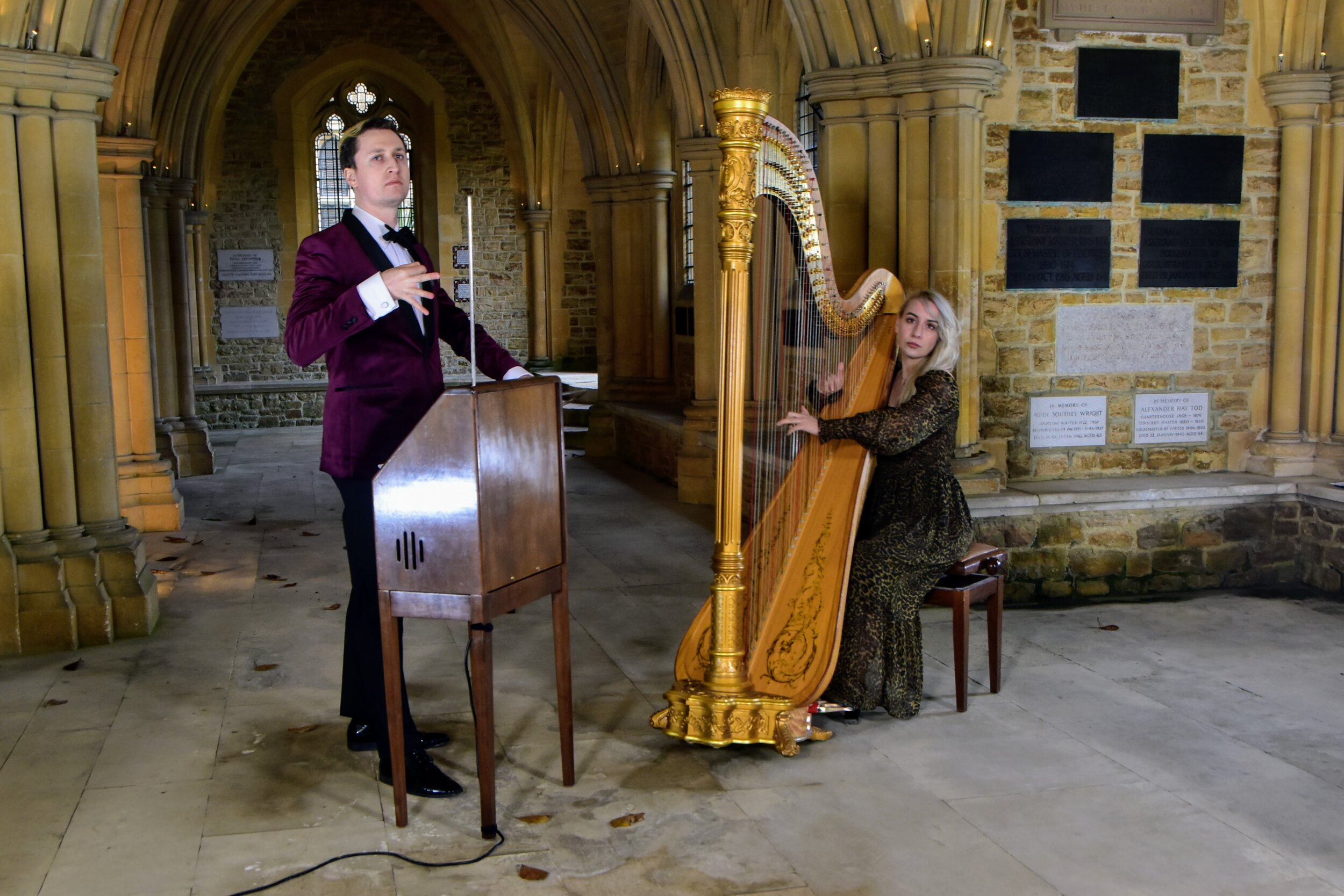 Stranger Strings Theremin & Harp Duo 3.jpg