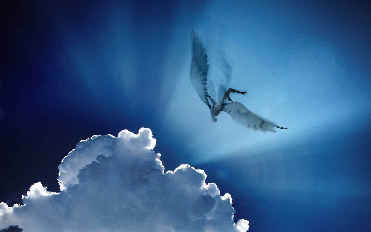 Icarus with the Hallé Orchestra