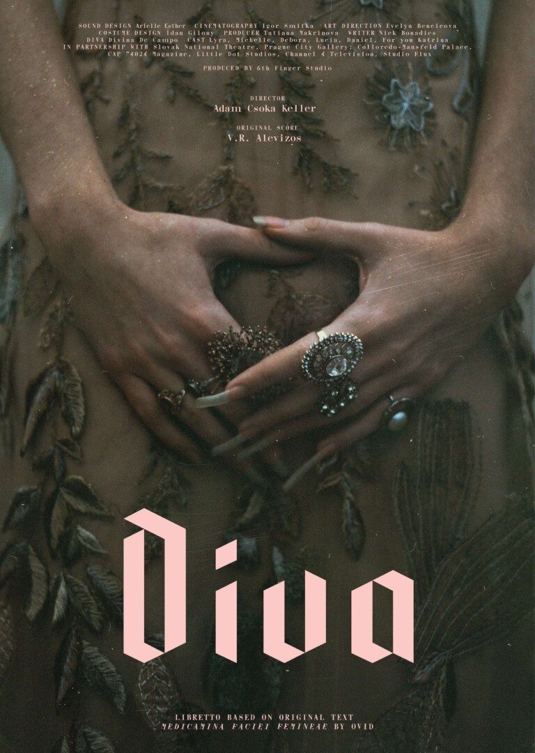 Official DIVA film poster with pink lettering and a close-up of hands against an embroidered costume