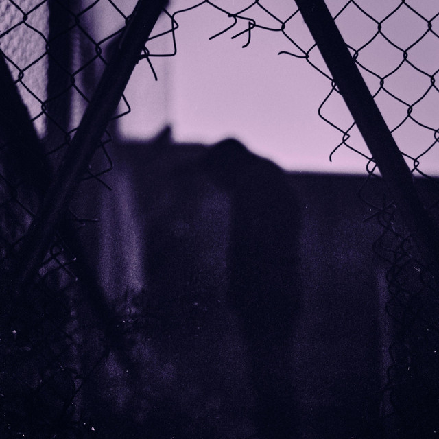 Mr Lovejet (Lonely People) cover art